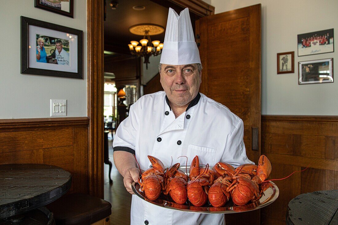 Chef gilles with his plate of lobsters for making guedilles, shediac, lobster capital of the world, new brunswick, canada, north america