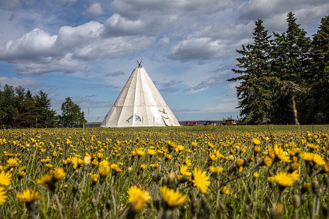 Teepee, traditional mi'kmaq house used for teaching, kouchibouguac national park, new brunswick, canada, north america