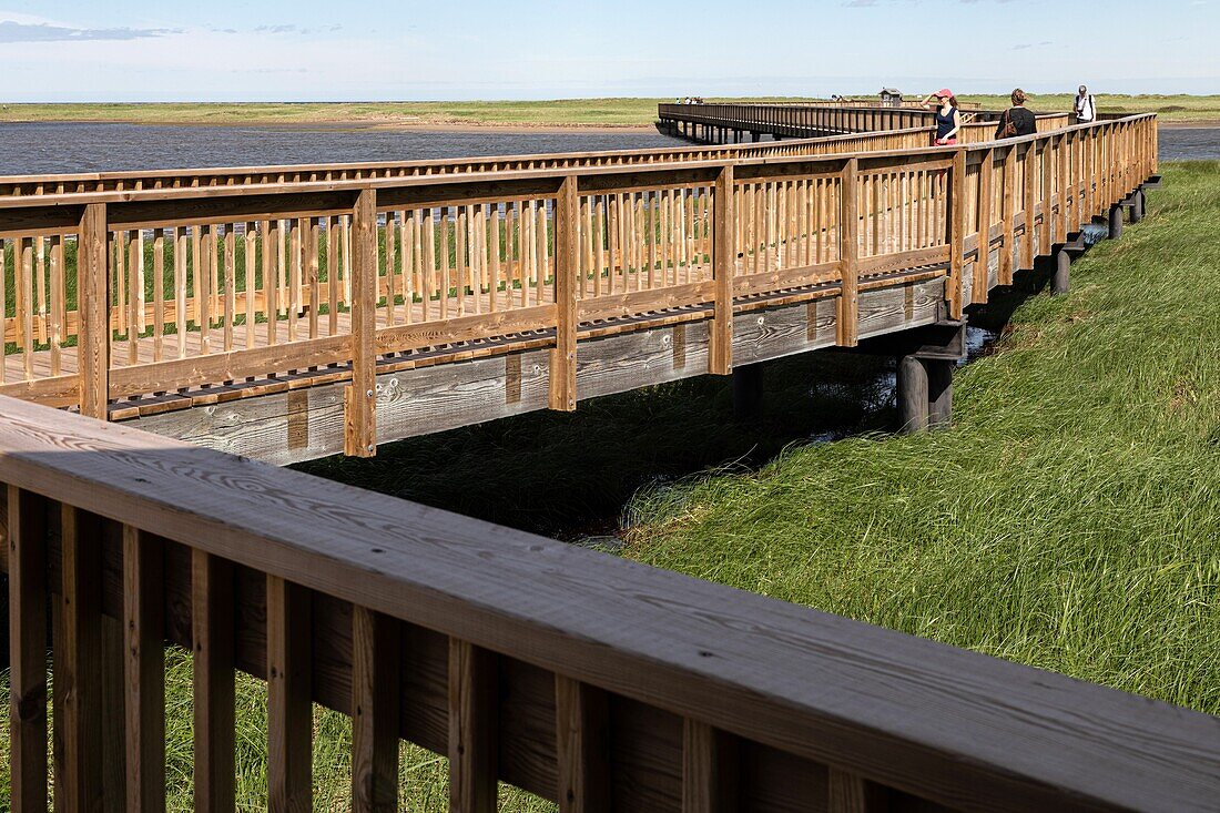 Wooden footbridge leading over the salt marshes to the beach, kouchibouguac national park, new brunswick, canada, north america