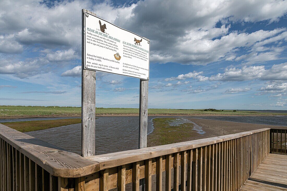 Wooden footbridge leading over the salt marshes to the beach, kouchibouguac national park, new brunswick, canada, north america