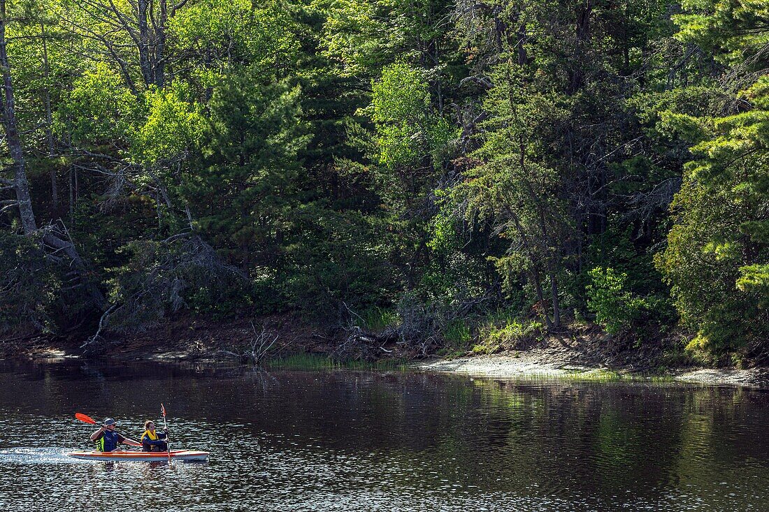 Kanu auf dem Fluss mitten im Wald, kouchibouguac national park, new brunswick, kanada, nordamerika