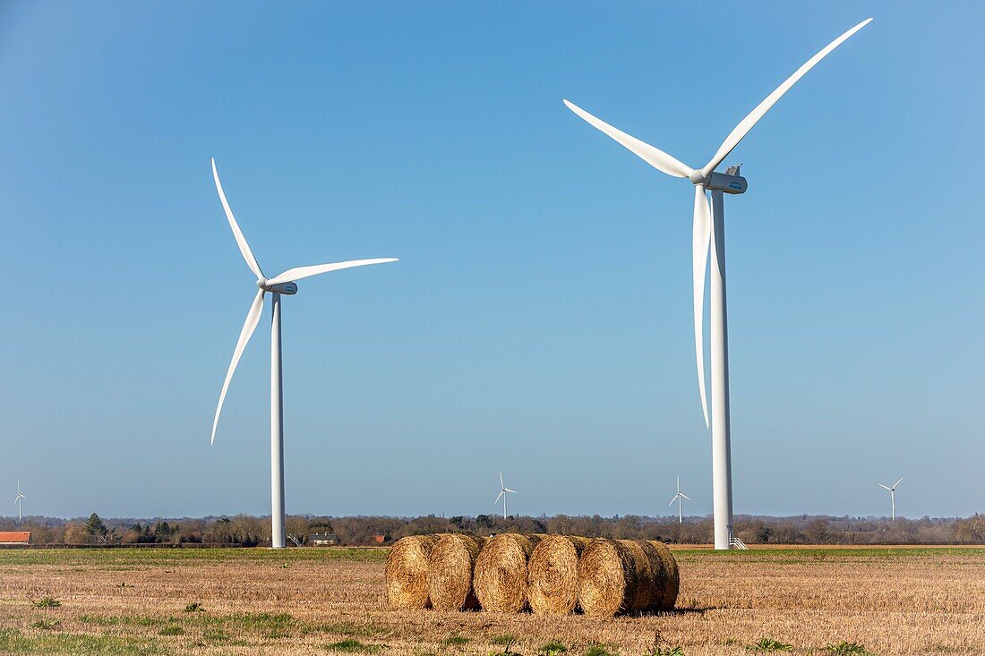Wind turbines in the countryside of the department of the eure, energy autonomy, normandy, france