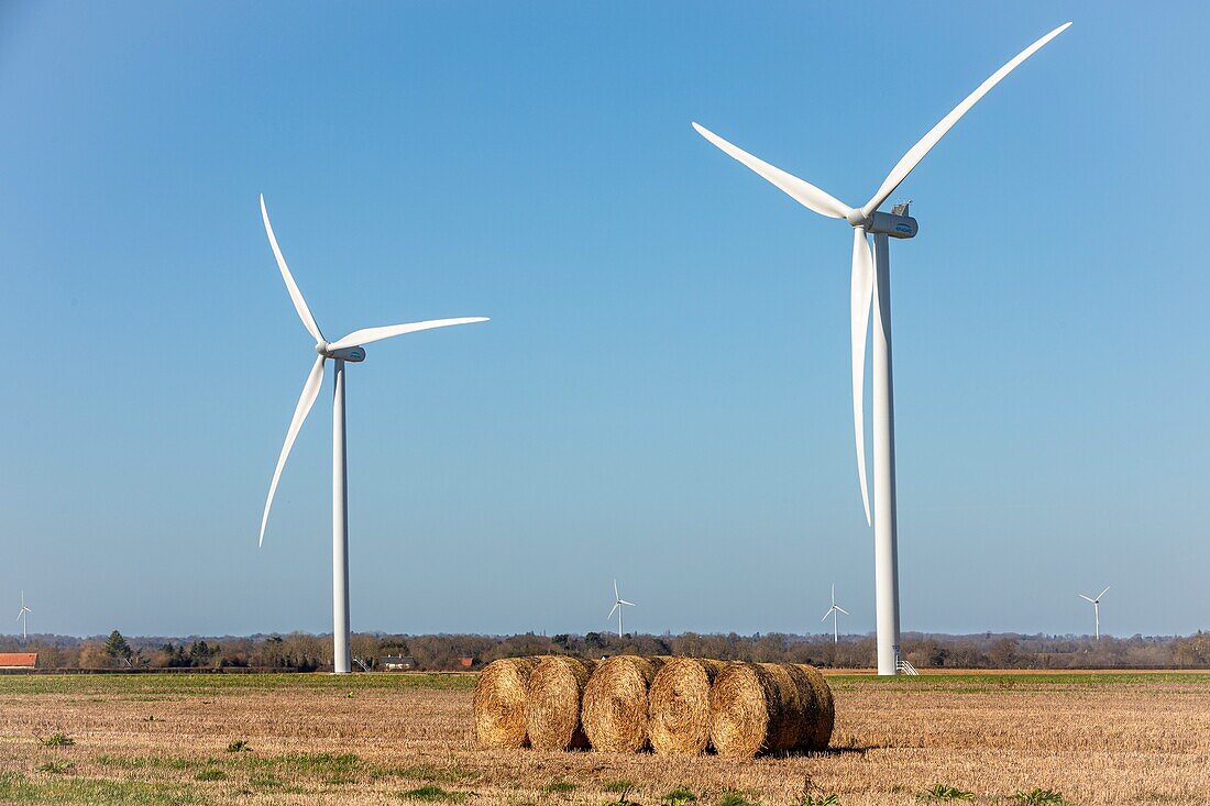 Windkraftanlagen auf dem Lande im Departement Eure, Energieautonomie, Normandie, Frankreich