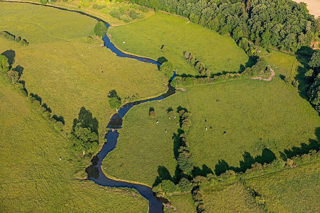 Prairies and cow rearing, the risle valley, la vieille-lyre, eure, normandy, france