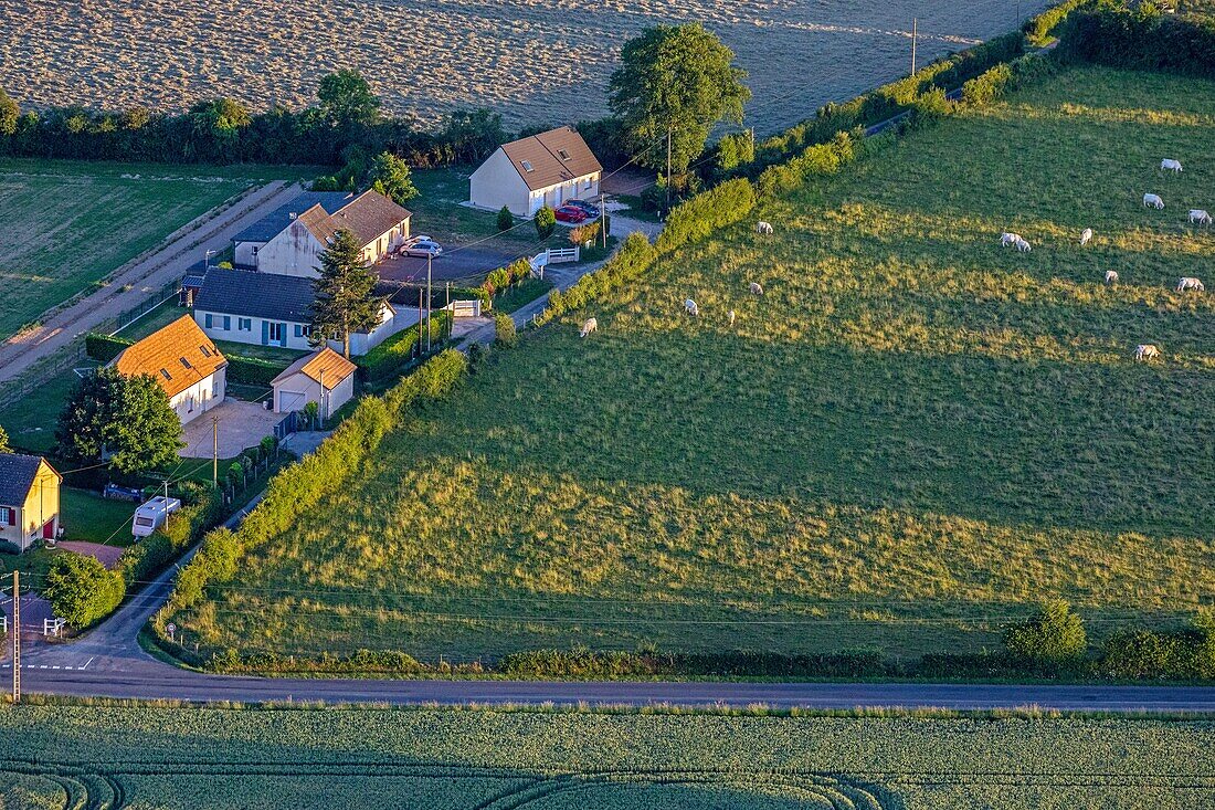 Kleine Einzelsiedlung inmitten der Landschaft, eure, normandie, frankreich