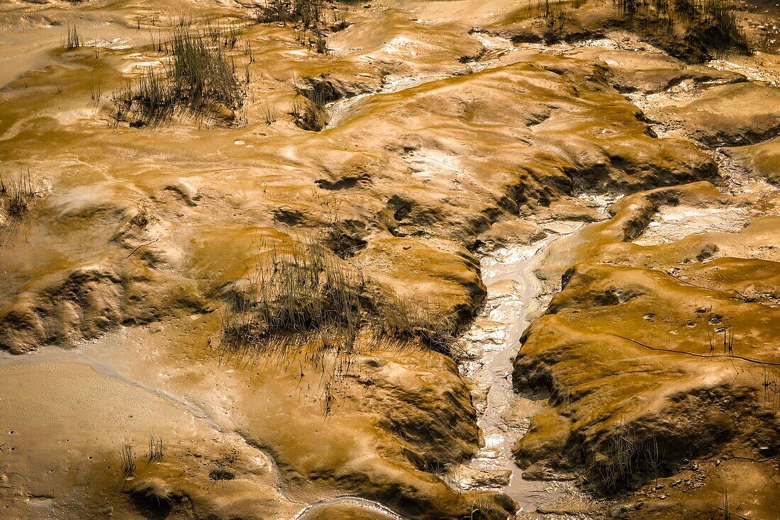 Schlickberg im Flussbett, der Saugeron bei Ebbe, Mondlandschaft, Blaye, Gironde, Frankreich
