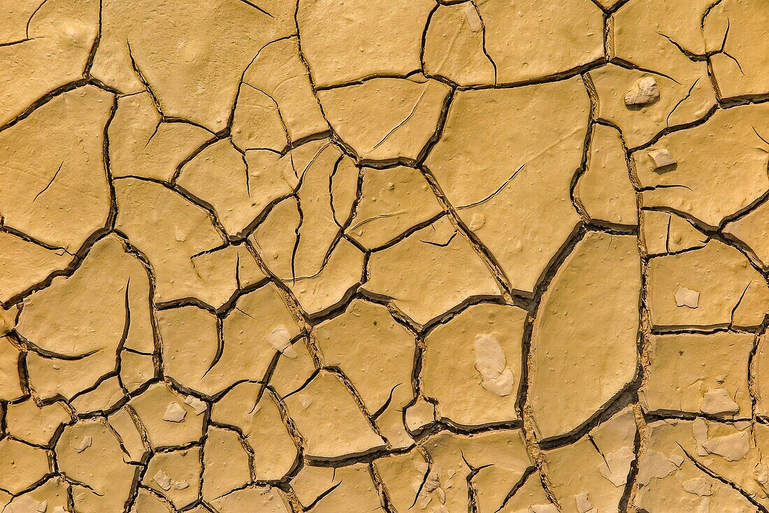 Illustration einer Dürre, rissige Erde, wenn das Wasser aufgrund mangelnder Niederschläge versiegt, Blaye, Gironde, Frankreich