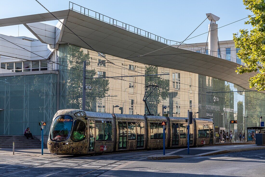 Straßenbahnhaltestelle, place de l'europe vor dem olympischen Schwimmbad angelotti, montpellier, herault, occitanie, frankreich