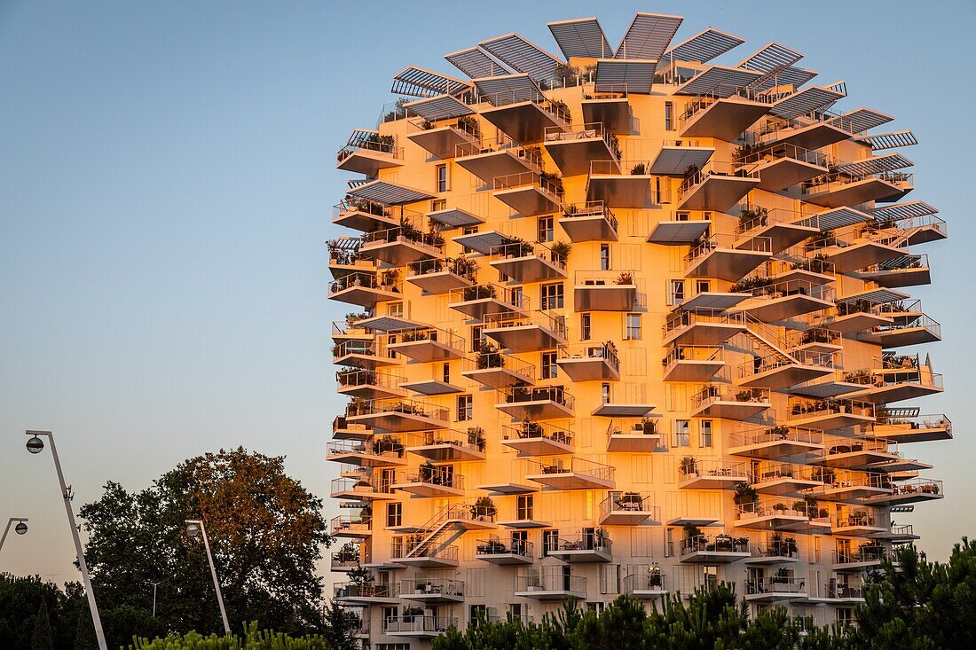 Modernes gebäude der arbre blanc, architekten soo foujimoto, nicolas laisne und manal rachdi, gebäude zum schönsten wohngebäude der welt 2019 gewählt, place christophe colomb, montpellier, herault, occitanie, frankreich