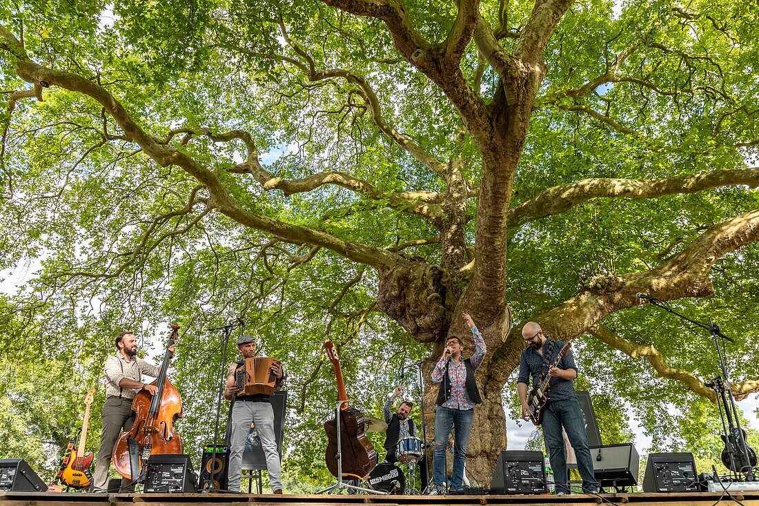 Sous les platanes concert with the band les megots and a terre fragile exhibition, remarkable 100 year old tree, l'aigle, orne, normandy, france