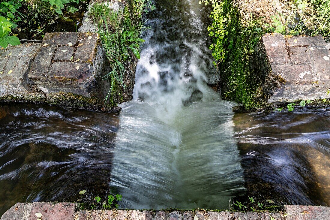 Weir on the river, chambray, mesnils-sur-iton, iton river valley, eure, normandy, france