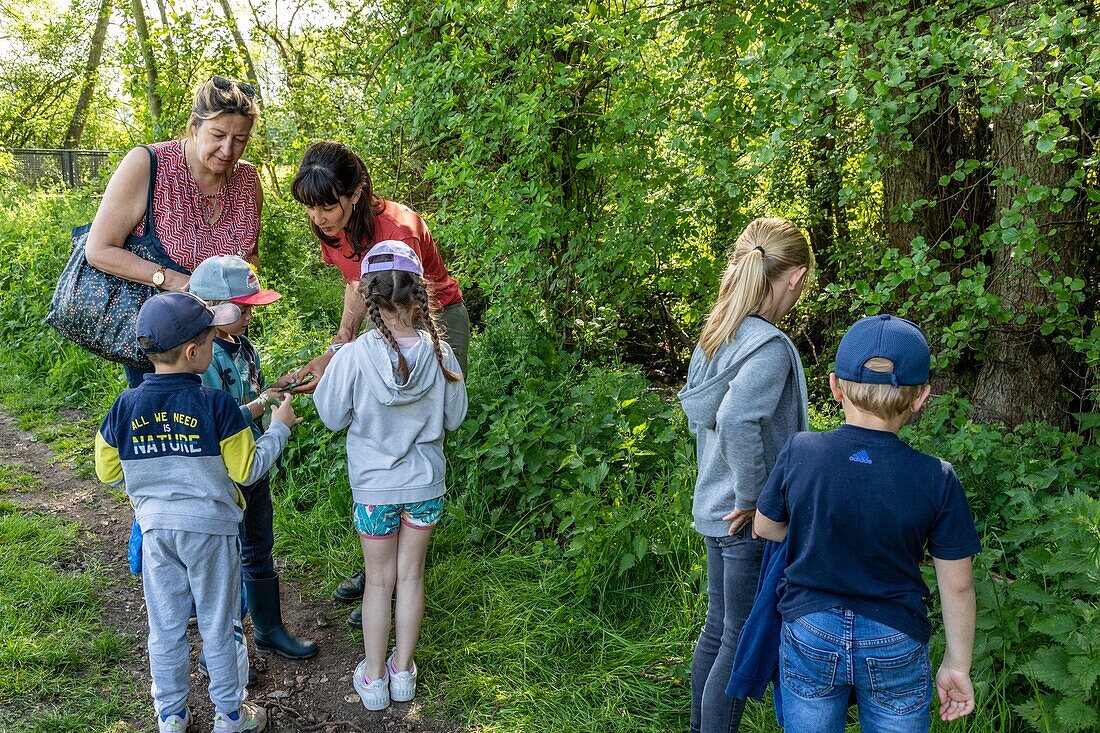 Monitor, Natur und Entdeckung der Flora und Fauna rund um den Fluss, Schüler und Lehrer des Kindergartens von Bourth, Iton-Flusstal, Iton-Flusstal, Eure, Normandie, Frankreich