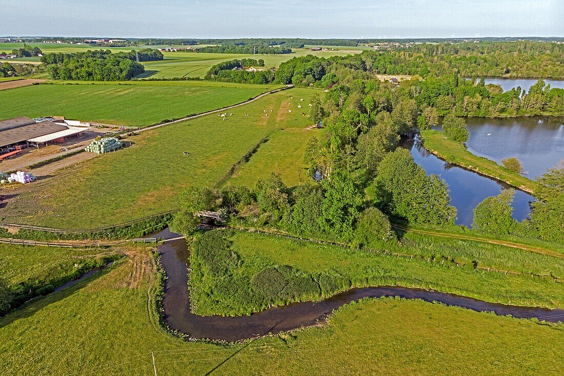 Luftaufnahme des Flusses Iton, der die Fischteiche speist, Cintray, Iton-Tal, Eure, Normandie, Frankreich
