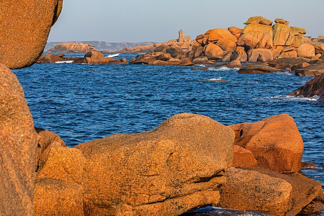 Blick von den rosa Granitfelsen auf den Leuchtturm von Ploumanach bei Sonnenuntergang, Renote Island Point, Tregastel, rosa Granitküste, Cotes-d'Armor, Bretagne, Frankreich