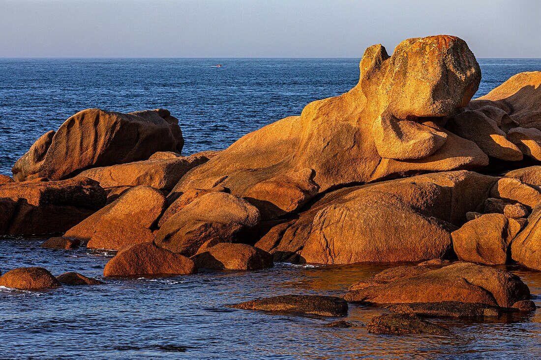 Rosa Granitfelsen in Form von Meerestieren, Sonnenuntergang über der Spitze der Renote-Insel, Tregastel, Küste aus rosa Granit, Cotes-d'Armor, Bretagne, Frankreich