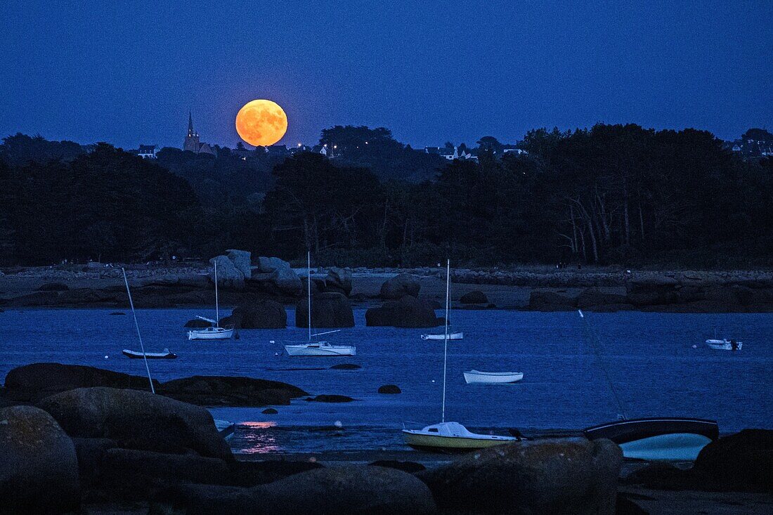 Roter Mondaufgang über Sainte-Anne Ay, Renote Island Point, Tregastel, Rosa Granitküste, Cotes-d'Armor, Bretagne, Frankreich