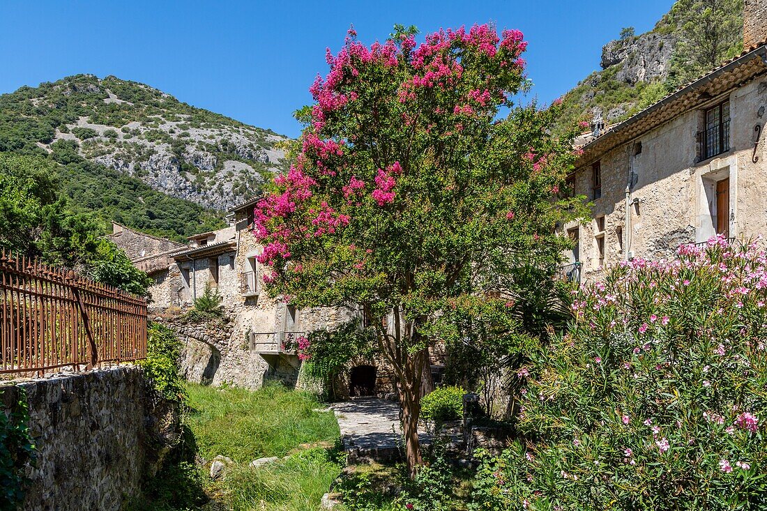 Kleine Gasse im Dorf, das als eines der schönsten Dörfer Frankreichs gilt, saint-guilhem-le-desert, herault, occitanie, frankreich