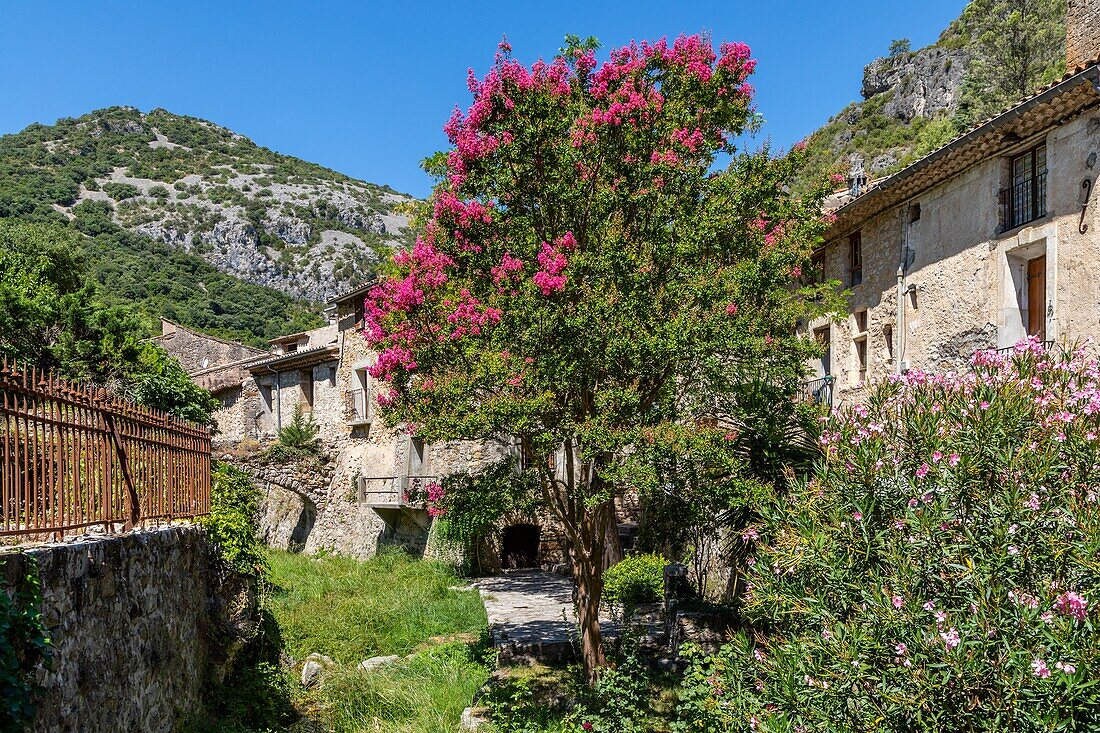 Small lane in the village, classed as one of the most beautiful villages of france, saint-guilhem-le-desert, herault, occitanie, france