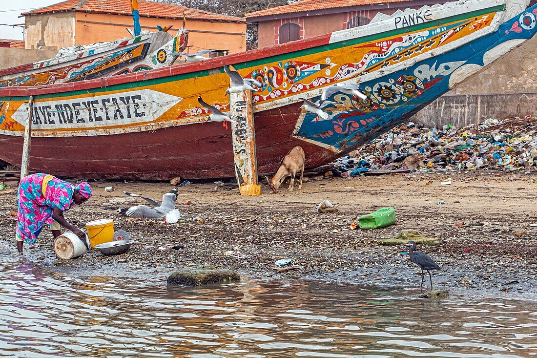 Senegalesin wäscht ihr Geschirr am Flussufer vor einer bunten traditionellen Piroge und Haufen von Müll und Plastikabfällen am Meer, guet ndar, Viertel im Fischerdorf mit den bunten Piroggen, saint-louis-du-senegal, senegal, westafrika
