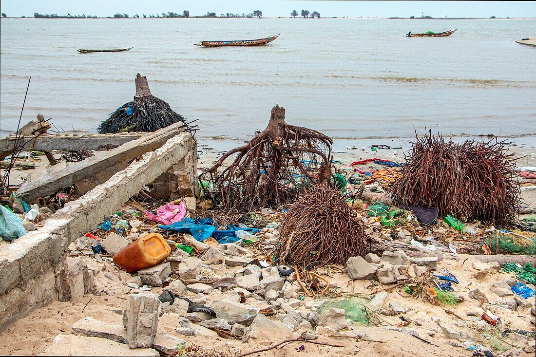 Rising saltwater on the beaches of the river's lagoon destroying houses trees (roots of coconut palms) in the middle of the plastic wastes, saint-louis-du-senegal, senegal, western africa