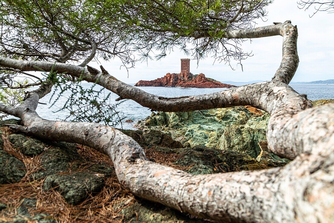 The ile d'or seen from the coast path of cape dramont, saint-raphael, var, france