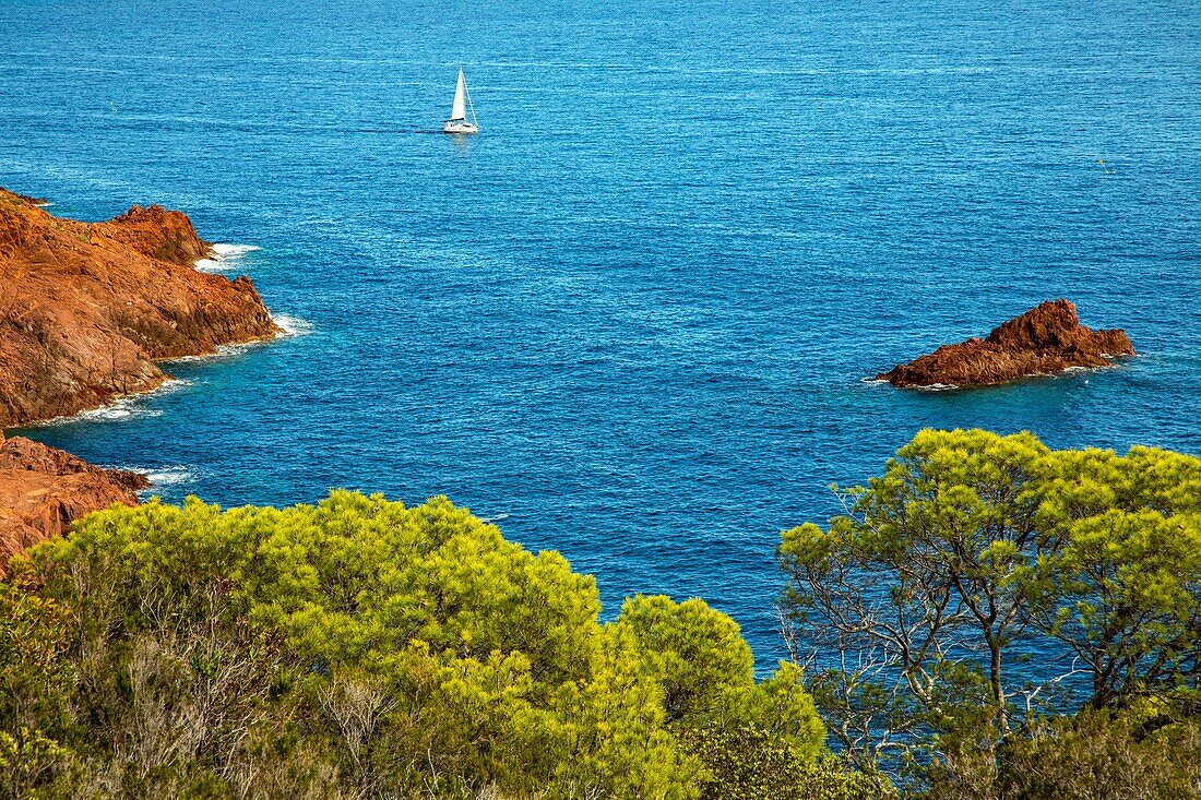 Die roten Felsen vom Küstenpfad von Cape Dramont, Saint-Raphaël, Var, Frankreich aus gesehen