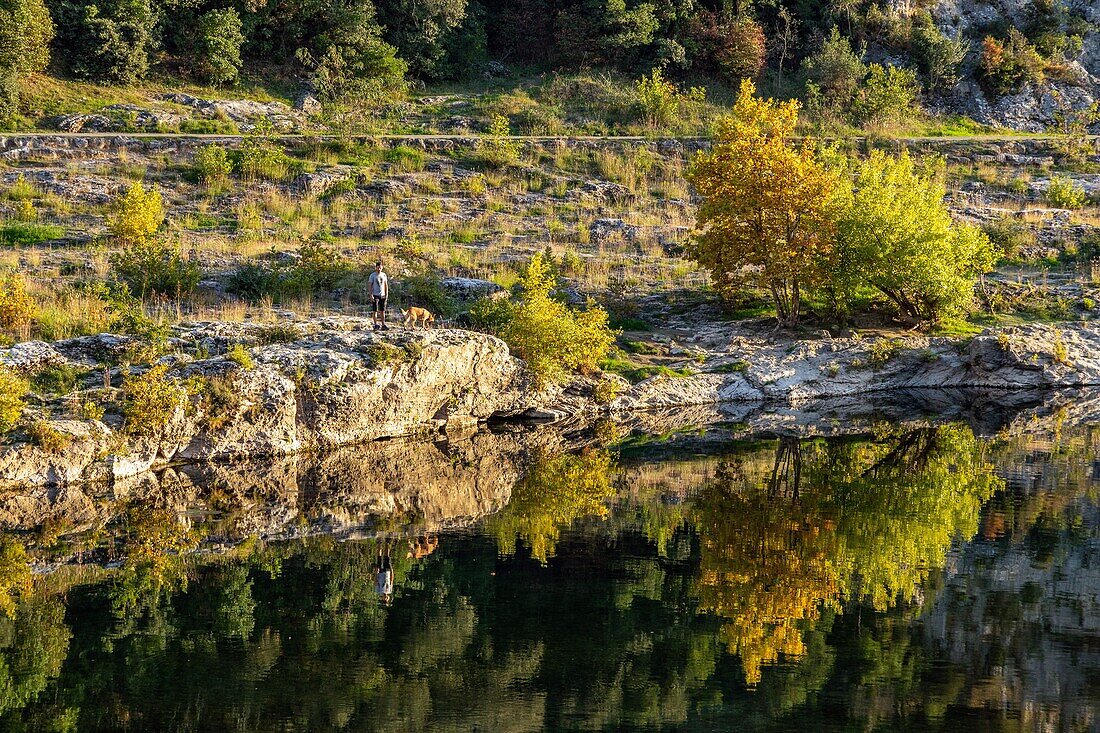 Man and his dog in the autumn reflections of the gardon near the pont du gard aqueduct, vers-pont-du-gard, france