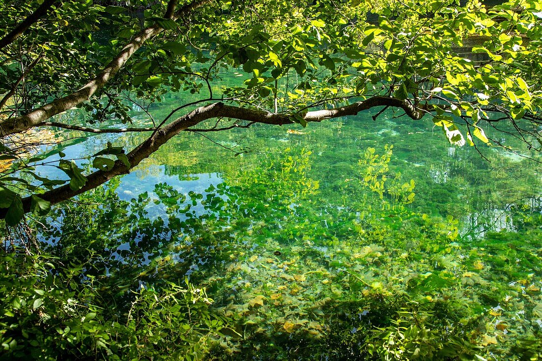 The clear, pure water of the sorgue, fontaine-de-vaucluse, france