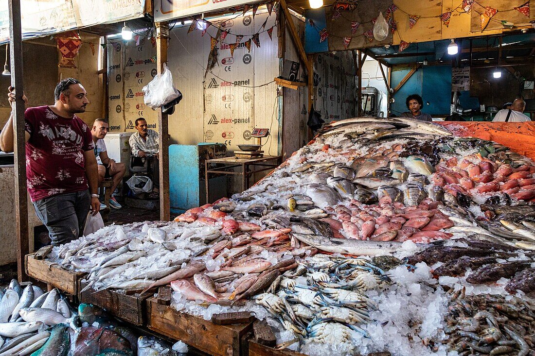 Die Stände mit bunten Fischen auf dem Fischmarkt am Yachthafen, Hurghada, Ägypten, Afrika