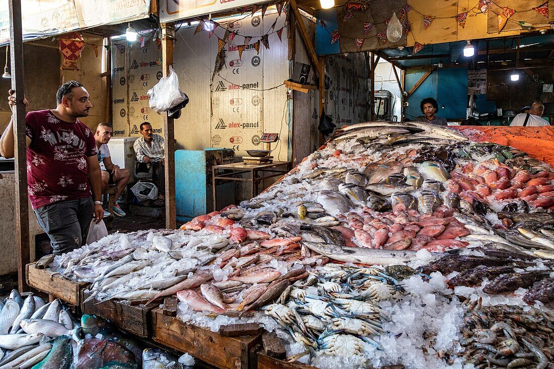 The stands of colorful fish in the fish market on the marina, hurghada, egypt, africa