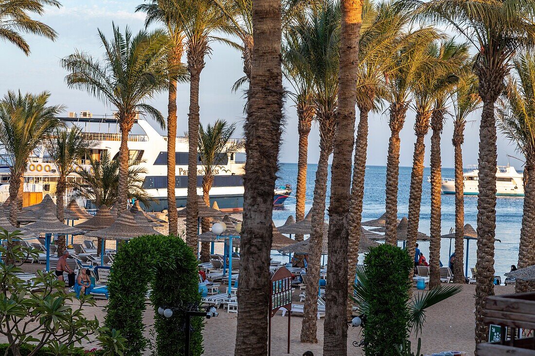 Private beach in front of the hotel marlin inn beach resort, hurghada, egypt, africa