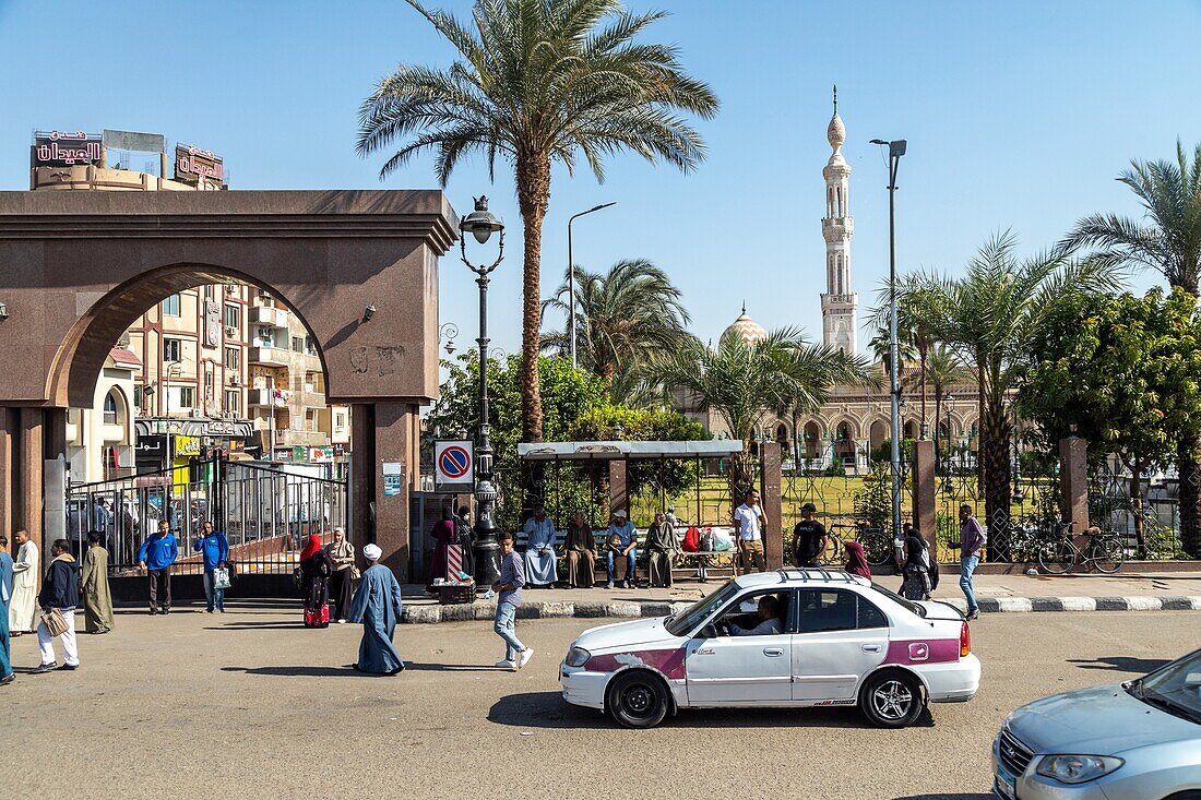 Street scene, qena, egypt, africa