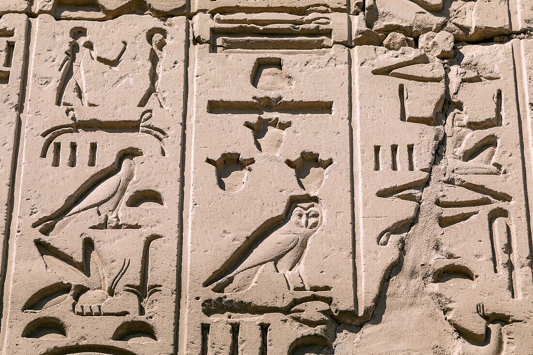 Ägyptische Hieroglyphen, figürliche heilige Schriften, Bezirk von Amun-Re, Tempel von Karnak, antike ägyptische Stätte aus der 13. Dynastie, unesco Weltkulturerbe, Luxor, Ägypten, Afrika