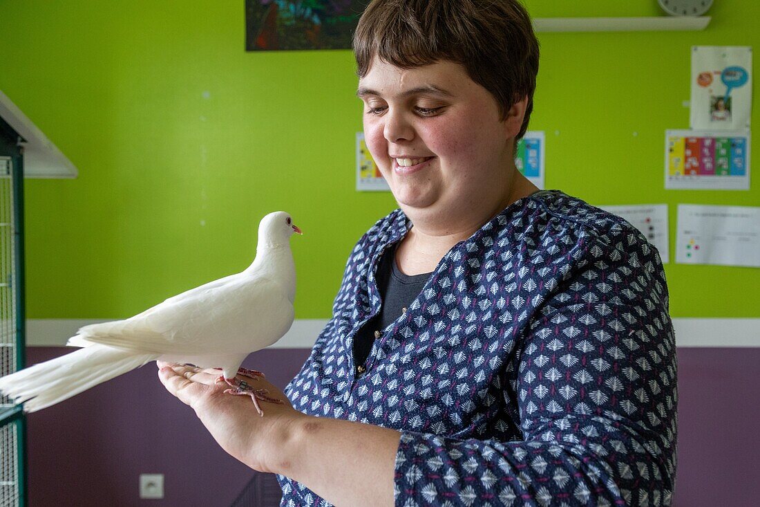 Pet care workshop (white dove), sessad la rencontre, day care, support and service organization for people with disabilities, le neubourg, eure, normandy, france