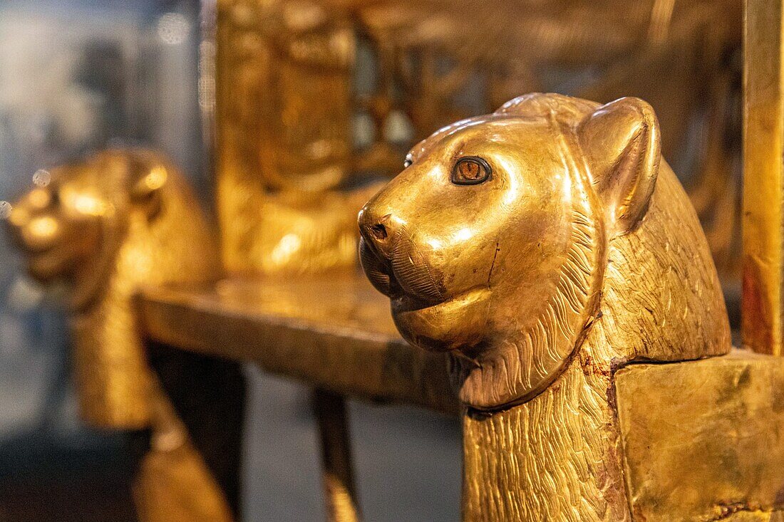 Die Löwenköpfe auf dem Thron des Tutanchamun, Symbol der Macht, Ägyptisches Museum von Kairo, das dem ägyptischen Altertum gewidmet ist, Kairo, Ägypten, Afrika