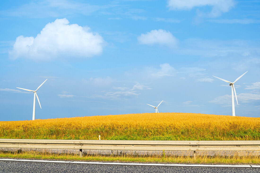 Windkraftanlagen und Getreidefelder von der Straße in Nordjütland aus gesehen, Region Jütland, Norddänemark, Dänemark, Europa
