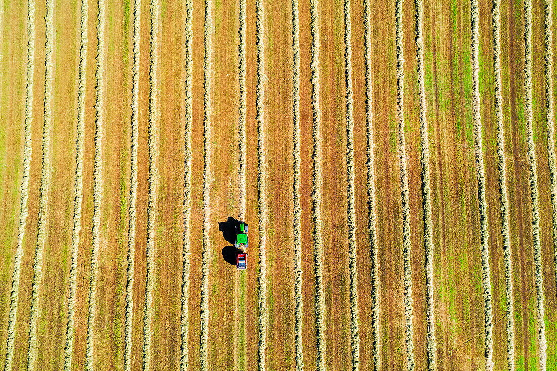 Luftaufnahme eines Traktors beim Pressen von Heuballen auf einem Feld, Provinz Frosinone, Region Ciociaria, Latium, Mittelitalien, Italien