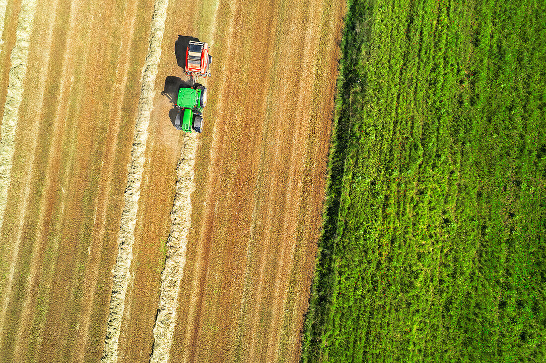 Luftaufnahme eines Traktors, der Heuballen auf einem Feld presst, Provinz Frosinone, Region Ciociaria, Latium, Mittelitalien, Italien
