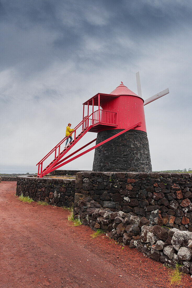 Frau steigt die Treppe der Windmühle zwischen Weinbergen hinauf, Madalena, Gemeinde Madalena, Insel Pico (Ilha do Pico), Azoren-Archipel, Portugal, Europa