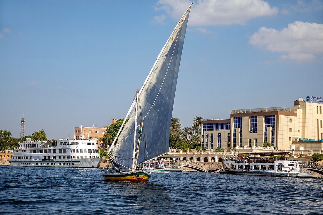 Ägyptische Feluke, traditionelles Boot auf dem Nil, luxor, ägypten, afrika