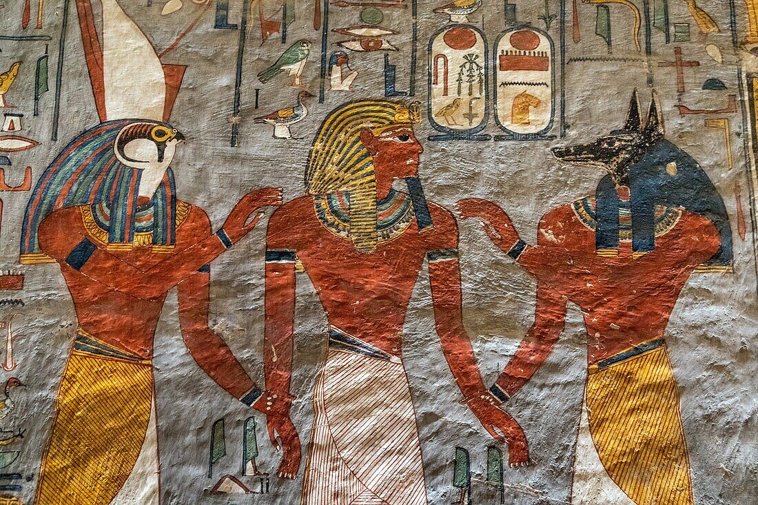 Ramses flankiert von Anubis (Grabgott mit dem Kopf eines wilden Hundes) und Horus (Gott mit dem Kopf eines Falken), Flachrelief und Fresken in leuchtenden Farben, Grab von Ramses I., Tal der Könige, wo sich das Hypogäum vieler Pharaonen des Neuen Reiches befindet, Luxor, Ägypten, Afrika