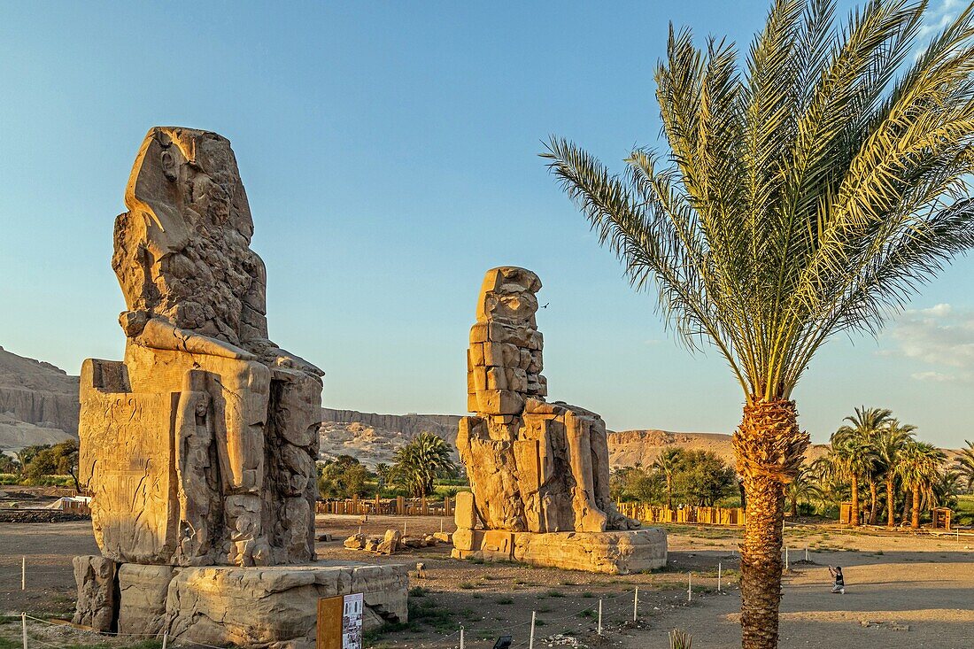 Memnon-Koloss, Steinstatuen aus dem antiken Ägypten, Ruinen des Hauses der Jahrmillionen, Amenhotep III Totentempel, Tal der Könige, Luxor, Ägypten, Afrika