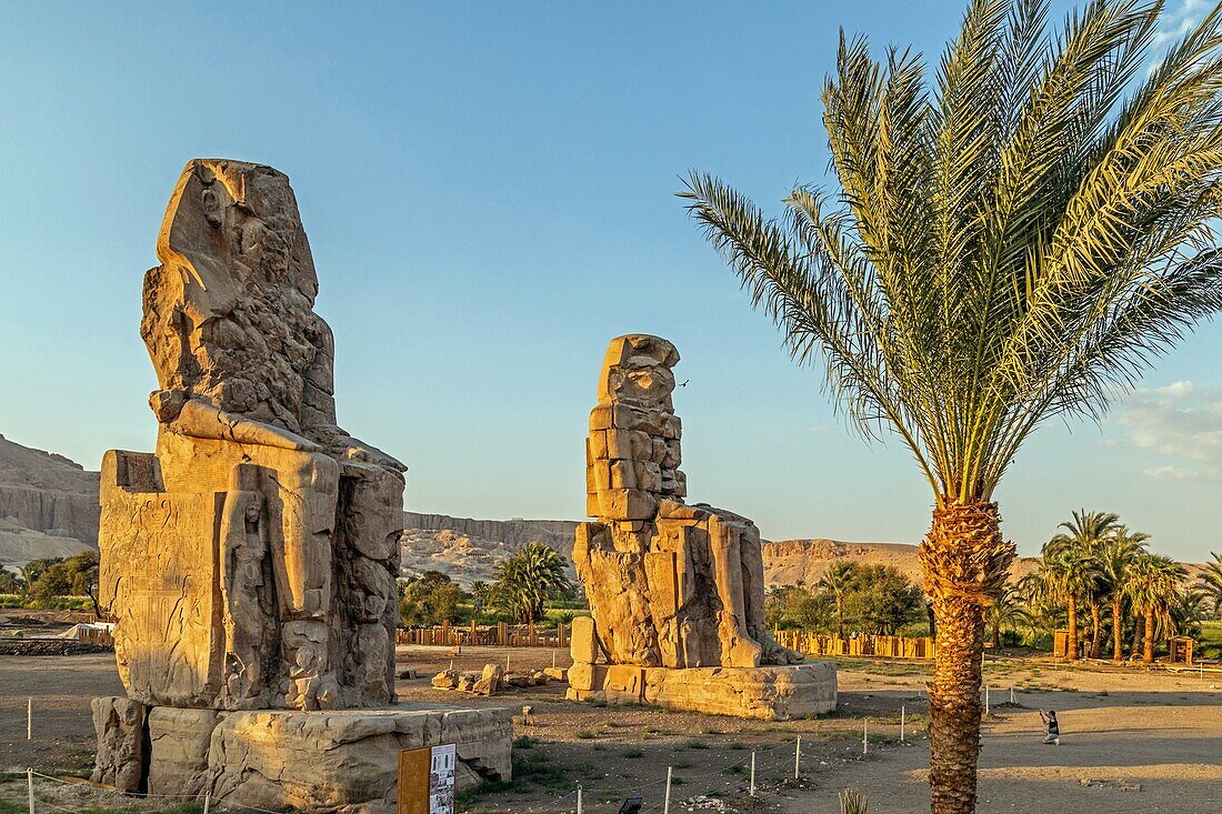 Memnon colossus, stone statues from ancient egypr, ruins of the house of millions of years, amenhotep iii mortuary temple, valley of the kings, luxor, egypt, africa