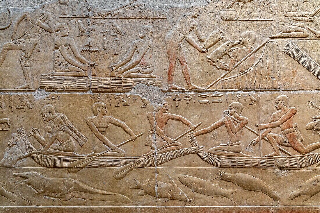 Fishing and farming scenes, bas-relief in the mastaba of kagemni, vizier during the reign of king teti, saqqara necropolis, region of memphis, former capital of ancient egypt, cairo, egypt, africa