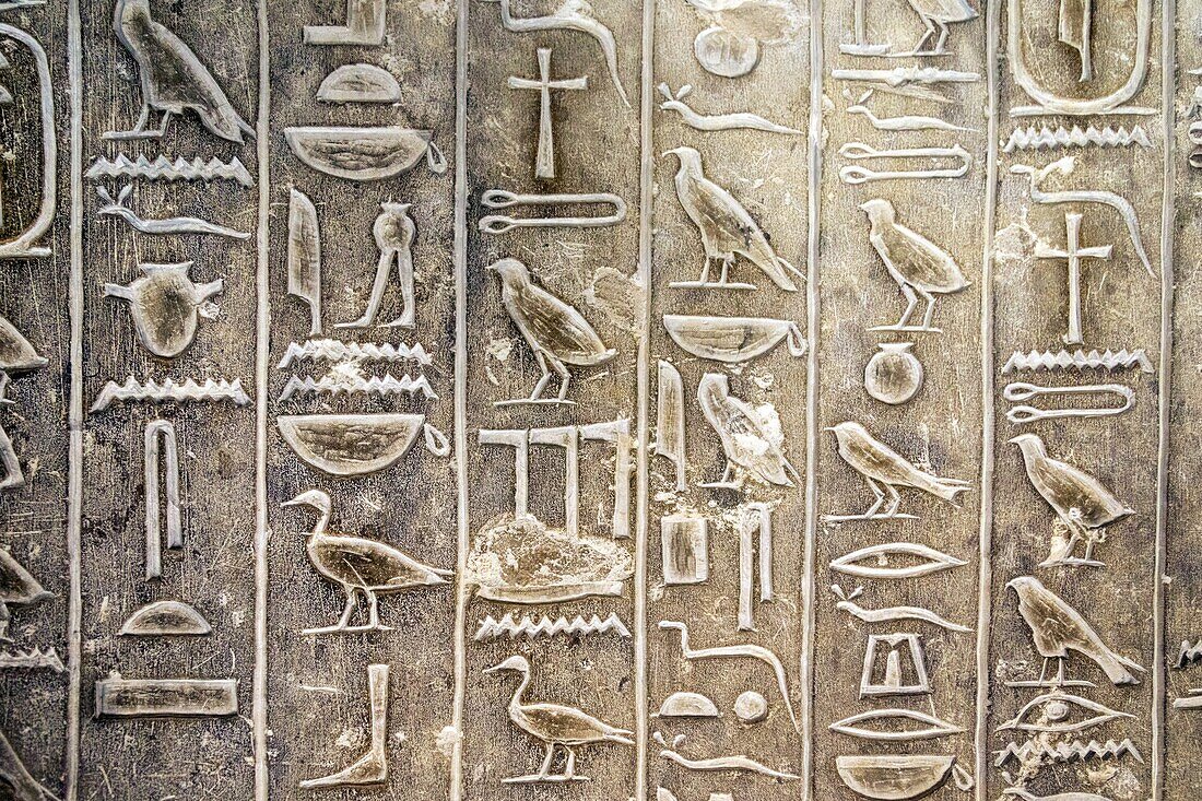 Egyptian hieroglyphs, figurative holy writings, the tomb of kagemni, vizier during the reign of king teti, saqqara necropolis, region of memphis, former capital of ancient egypt, cairo, egypt, africa