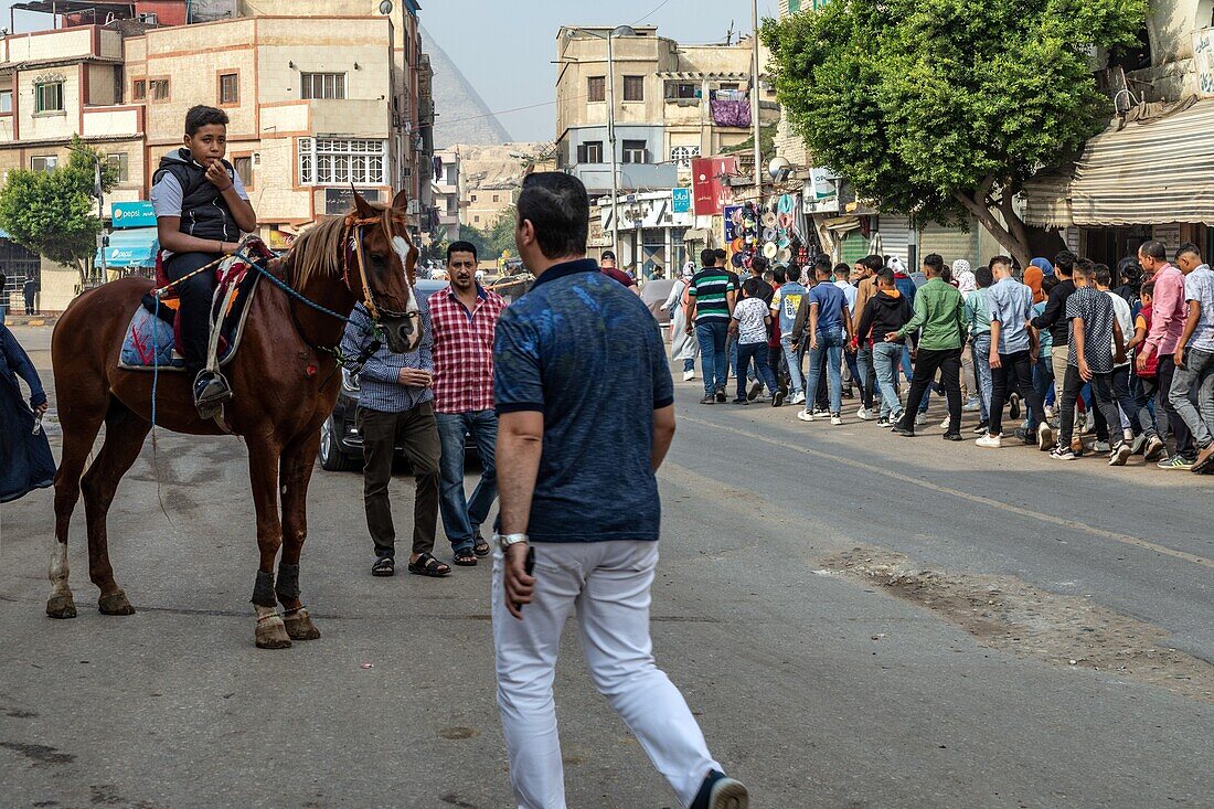 Straßenszene mit einer Gruppe von Studenten, die die Pyramiden besuchen wollen, und einem Jungen auf seinem Pferd, Gizeh, Kairo, Ägypten, Afrika