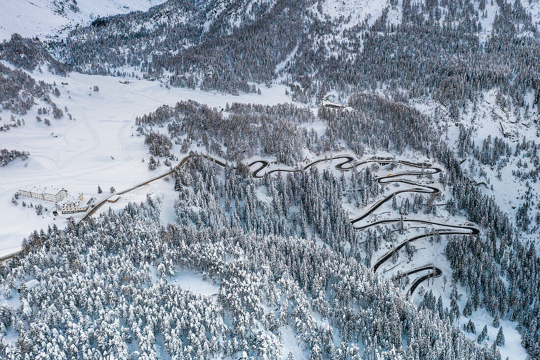 Luftaufnahme der Malojapassstrasse durch den schneebedeckten Wald, Kanton Graubünden, Schweiz