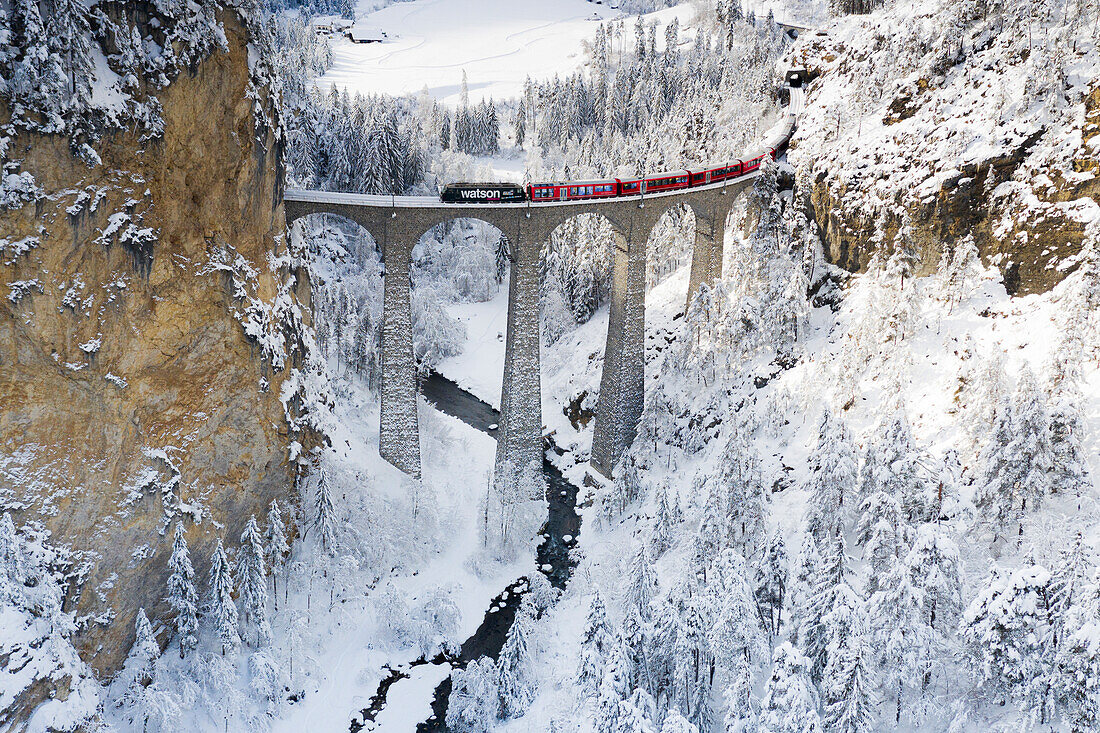 Bernina-Express-Zug auf dem Landwasserviadukt, eingerahmt von schneebedeckten Wäldern, Filisur, Kanton Graubünden, Schweiz