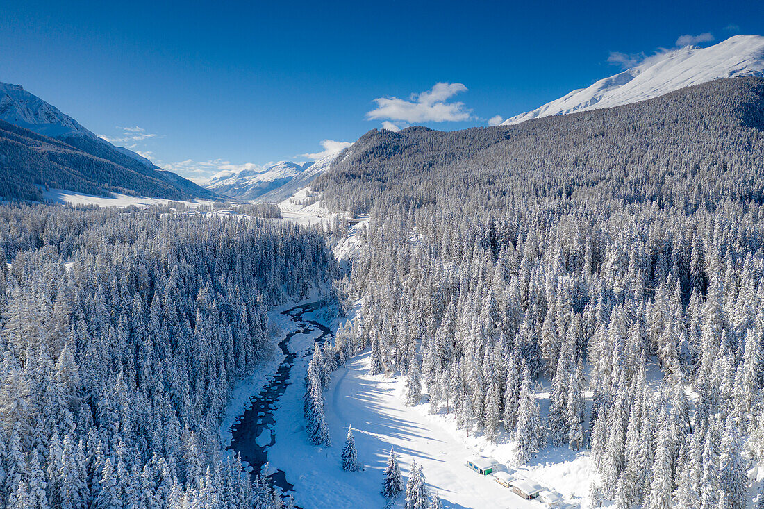 Clear winter sky on frozen river and trees in the forest covered with snow, Graubunden canton, Engadine, Switzerland