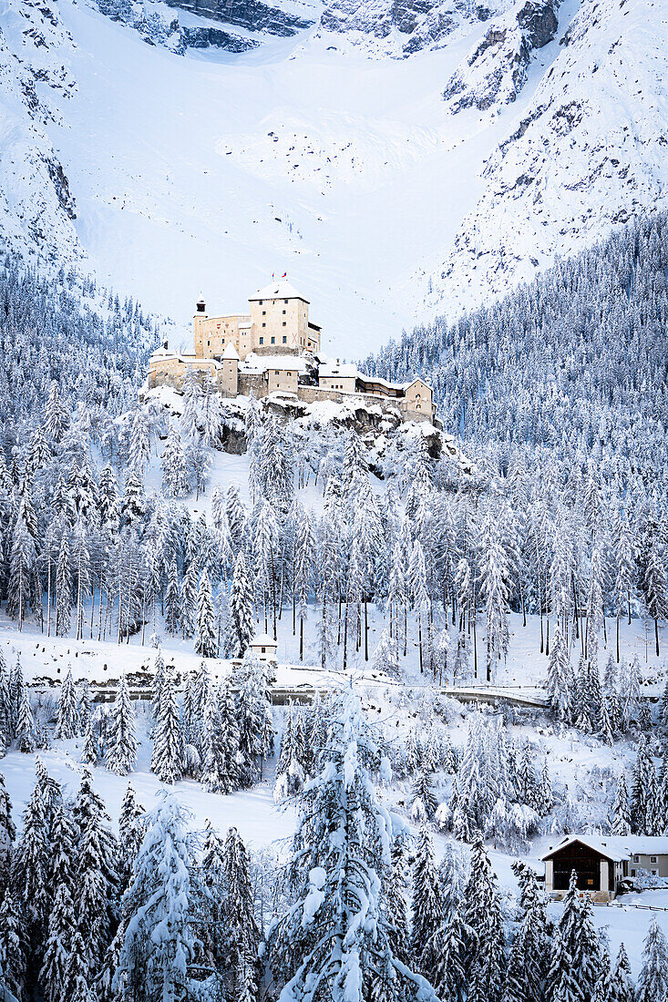 Mittelalterliches Schloss Tarasp inmitten von schneebedeckten Bergen und Wäldern, Kanton Graubünden, Unterengadin, Schweiz